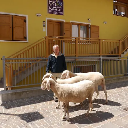 Bed & Breakfast Tomaselli *